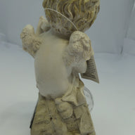 PR26256_BS122163_Premier cherub with solar white light.  Violin - Image7