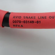 PR20715_0070-03149-01_Avid Snake Line  Out Cable 0070-03149-01 - Image2