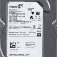 Dell Seagate 250GB SATA 7200rpm 3.5in HDD ( ST250DM000 1BC141-300 ) REF
