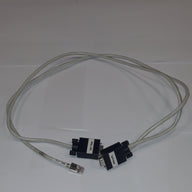 IBM RPC PPS CABLE (22R0421 Used)