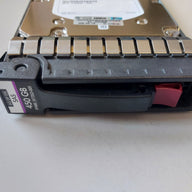 HP Seagate 450GB 15Krpm SAS 3.5in HDD in CADDY ( 9FM066-035 ST3450857SS 516810-002 EF0450FARMV 516832-004 517352-001 ) REF