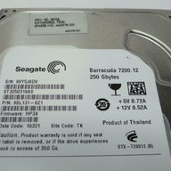 Seagate HP 250Gb SATA 7200rpm 3.5in HDD ( 9SL131-021 ST3250318AS 460578-001 519599-002 ) REF