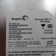 9BJ04E-307 - Seagate Barracuda ST3250620A 7200.10 250Gb 7.2K IDE Ultra ATA/100 3.5" Hard Drive - Refurbished